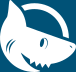 Consurf logo